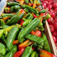 墨爾本Queen Victoria Market