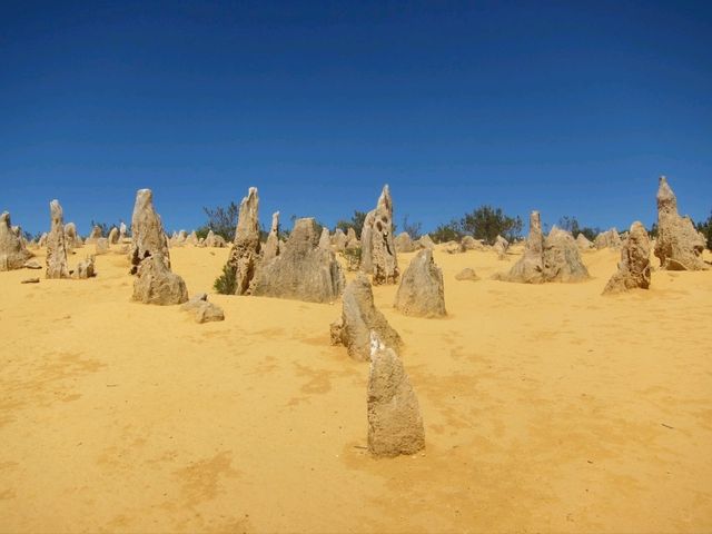 ❤️discover the Pinnacles desert discovery❤️