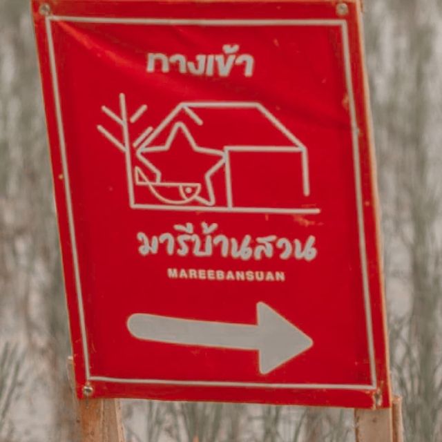 มารีบ้านสวน วิวสวย บรรยากาศดี