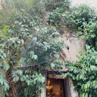 Ancient Temple in the Roots of Banyan Tree 🌳