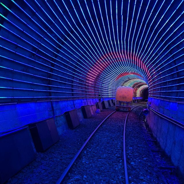乘坐河豚型自行車，悠閑欣賞台灣美景