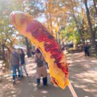 南怡島❤️美景美食全齊全