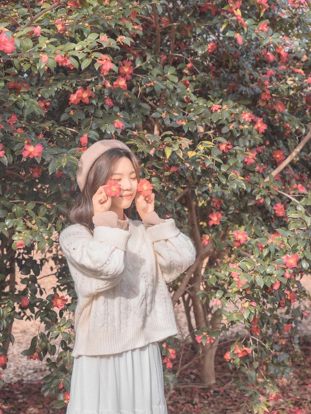 부산에 있는 동백 명소 화명생태공원♥️✨