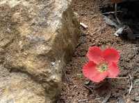 Through back to World War 2nd at Hellfire Pass