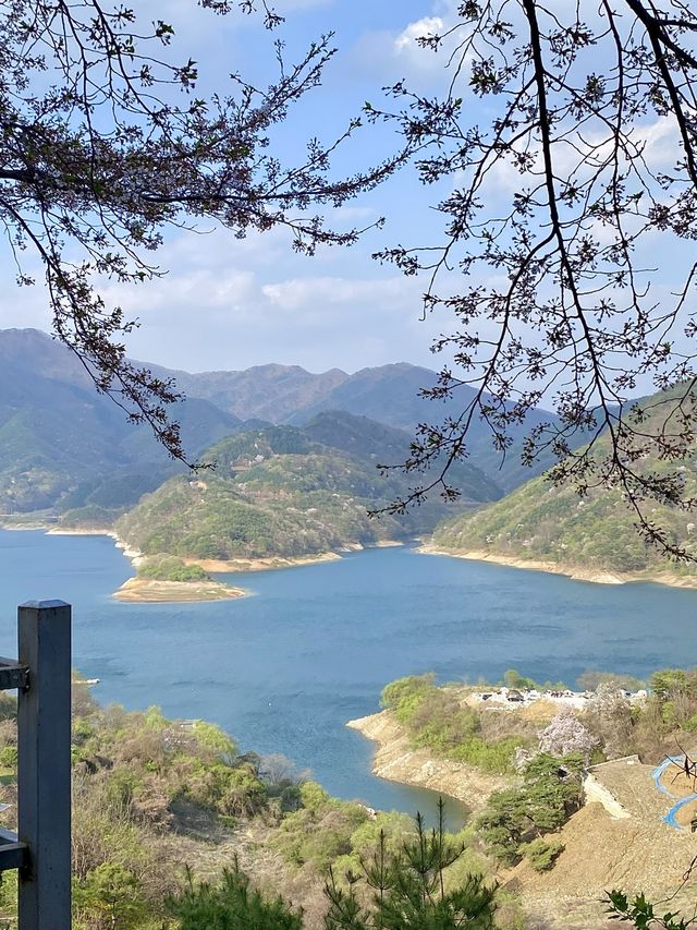 최고의 뷰를 자랑하는 충주호 뷰 캠핑장