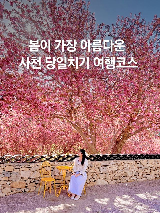 봄이 가장 예쁜 사천 당일치기 여행코스 🌸