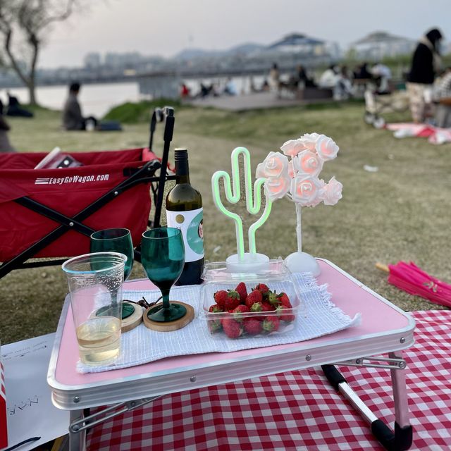 강아지와 함께 하는 잠원한강 피크닉 🧺🐶