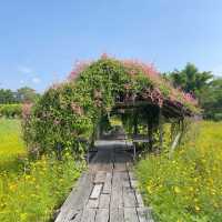 ชี้เป้าถ่ายรูป ฮีลใจ ถ้าไปลพบุรีห้ามพลาด