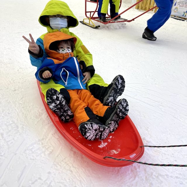去玩雪啦！九龍出發只需50分鐘車程