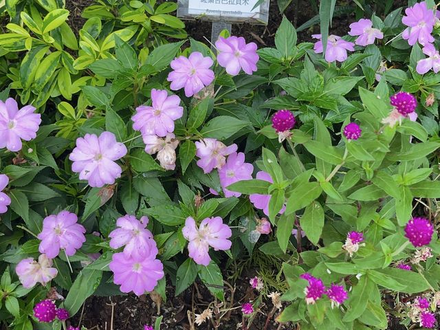 親子好去處 @ 城門谷公園