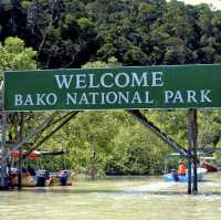 A Visit to Bako National Park 🏞️ 