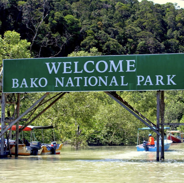 A Visit to Bako National Park 🏞️ 