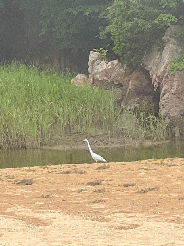 흐린날의 하나개 해수욕장☁️