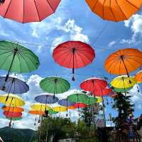 Unique Way To Enjoy Seoul Countryside!