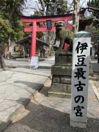 【静岡県/伊古奈比咩命神社】伊豆最古の神社と白浜海岸