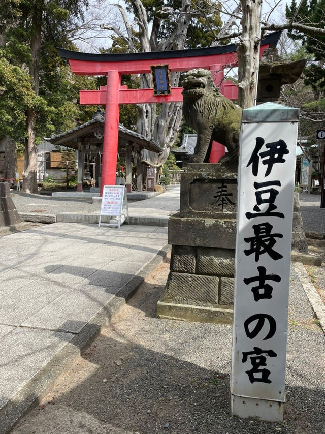 【静岡県/伊古奈比咩命神社】伊豆最古の神社と白浜海岸