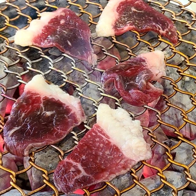  서귀포 모슬포 맛집)초계한우 - 대정읍 가성비 소고기, 흑돼지 맛집(콜키지프리) 


