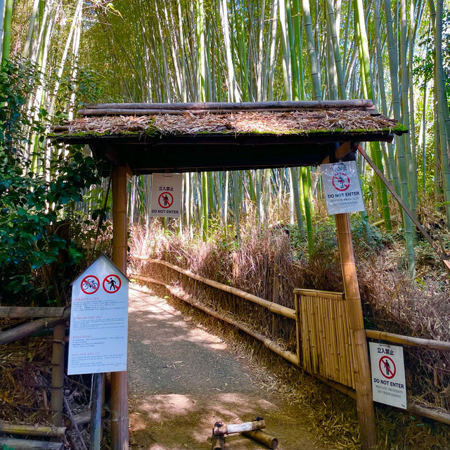 【京都府】人気の竹林の小径をのんびりお散歩！