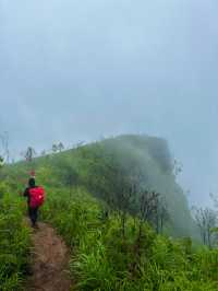 อุทยานแห่งชาติภูสอยดาว | Phu soi dao National Park