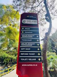 Must Visit Attraction In Bandung♨️