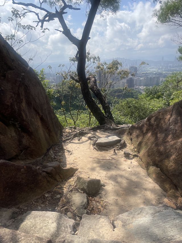 台北市｜內湖區｜金面山步道