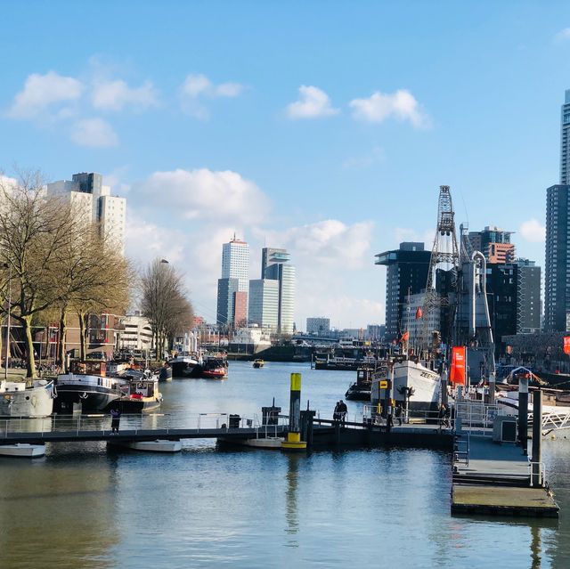 荷蘭🇳🇱鹿特丹Rotterdam 🏋️‍♀️🤸🏻具有故事意義歷史文化的雕像📌 The Destroyed City