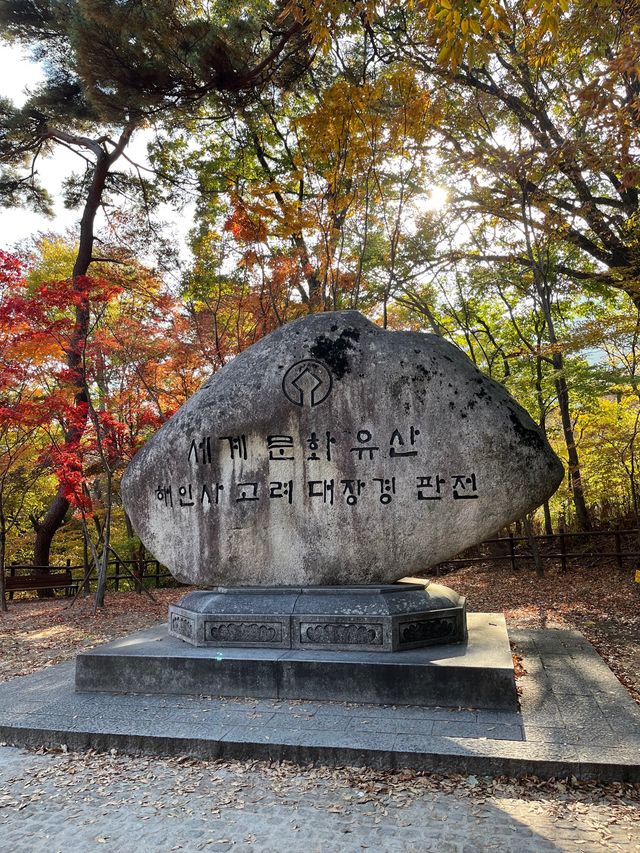 가을단풍은 해인사로~