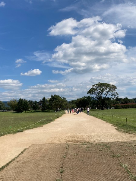 경주 1박 2일 뚜벅이 여행 코스 및 꿀팁🩵