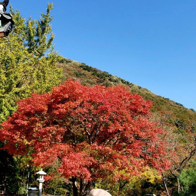 【梵魚寺（ポモサ）】お寺巡りをしてきました。