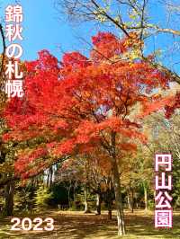 北海道　北海道観光　錦秋の札幌　札幌円山公園の紅葉が見頃！