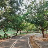 優美湖景-八掌溪親水公園