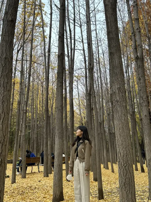 다채로운 놀거리가 있는 서울숲🌳