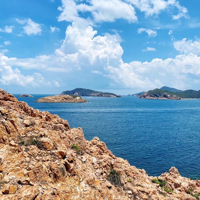 🌊🏞️ 富岡地質公園～海岸奇觀🌵⛰️🔭