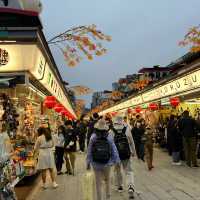 Asakusa: A Must-See Area of Tokyo