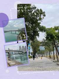 「青衣海濱長廊：舒適環境，適合散步和跑步」