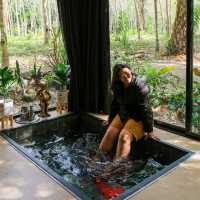 นอนพักผ่อนกลางสวนปาล์ม 
บรรยากาศสงบ SeaSky