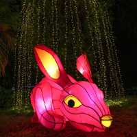 เทศกาลหุ่นโคมไฟนครสวรรค์💡🎁