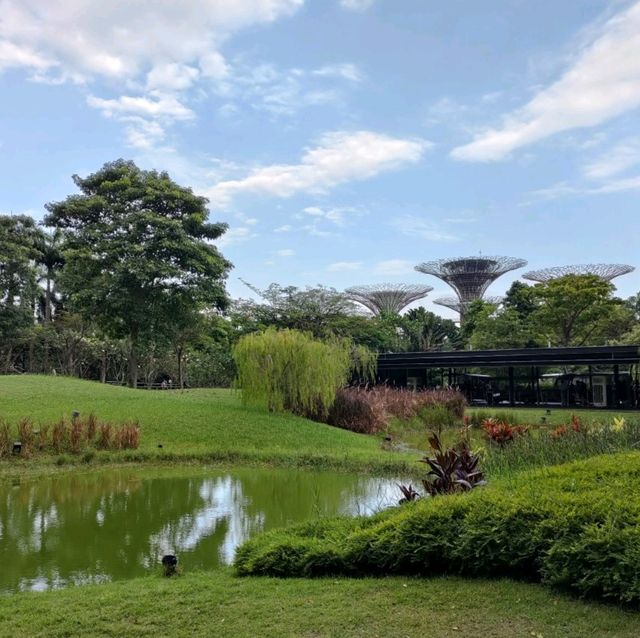 Spend whole day at Gardens by the Bay