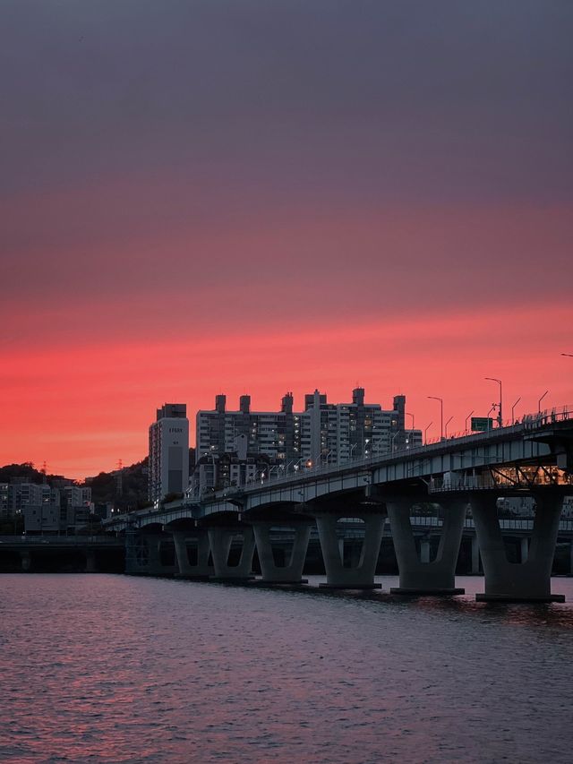 사람 없는 한적한 광나루 한강공원 💚