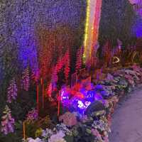 返嚟啦，返嚟啦，2023香港🌸🌹🌻花卉展覽