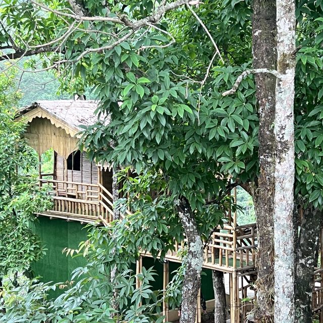 Tree House Resort