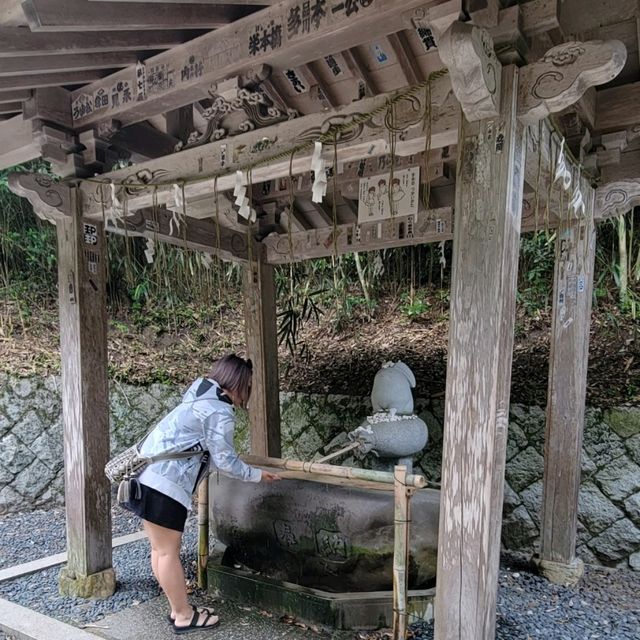 鳥取3小時3千日圓的包車之旅