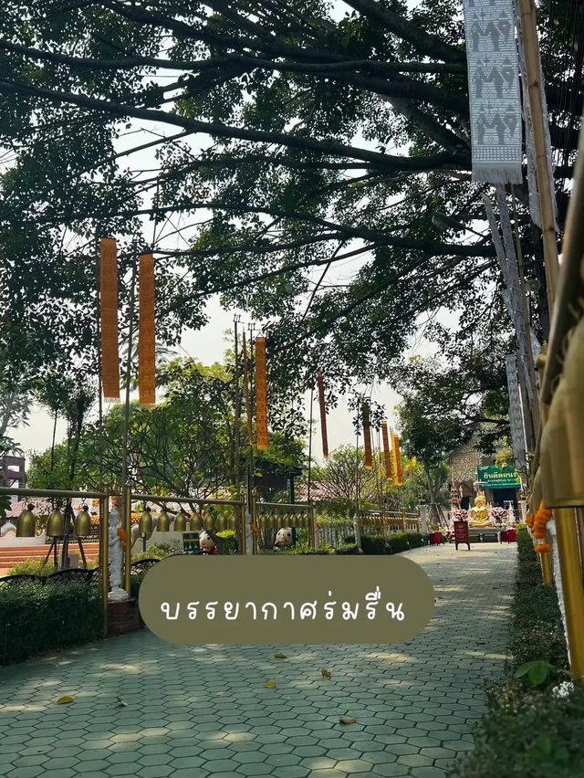 ⚡️พาไปมูขอพรองค์ท้าวเวสสุวรรณ ที่วัดคันธาราม