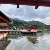 【広島県】早朝の嚴島神社を貸切気分で参拝！