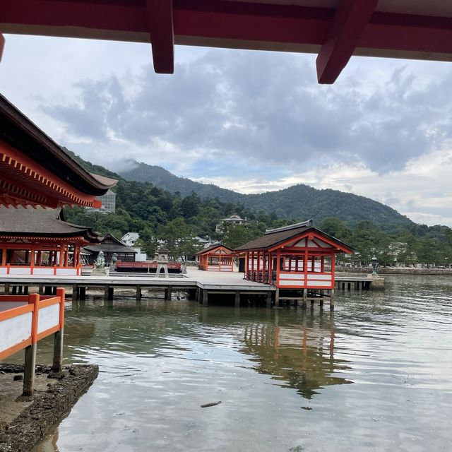 【広島県】早朝の嚴島神社を貸切気分で参拝！
