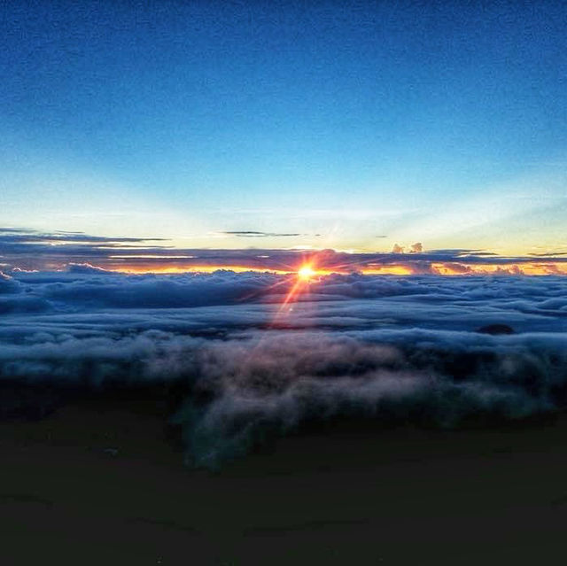 SEA OF CLOUDS, MT.PULAG⛰️