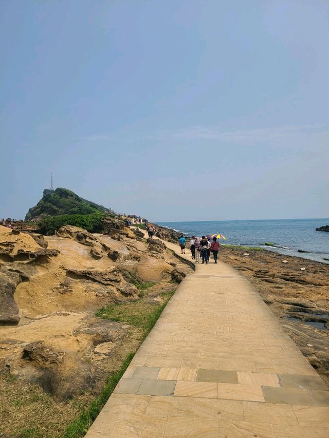 【台湾】台北に行ったら野柳に行こう