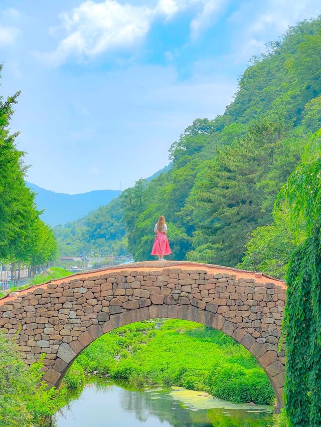 드디어 다녀온, 창녕 만년교💚