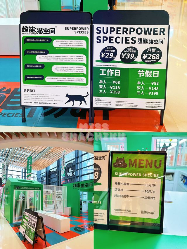 ⭐️一齊喵喵喵🐱商場入面竟然可以玩貓貓🐈‍⬛