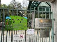 充滿特色嘅黃大仙文化公園